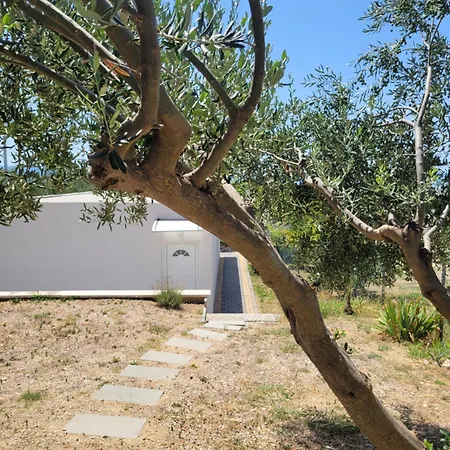 Summerhouse Calypso Spalato