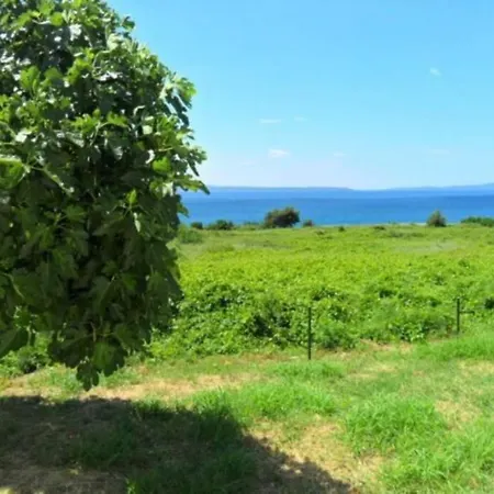 Apartment Summerhouse Calypso