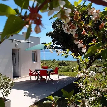 Summerhouse Calypso Daire *