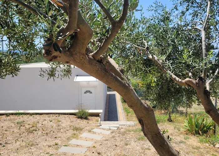 Summerhouse Calypso Split